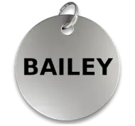 Cat Tag (Metal)