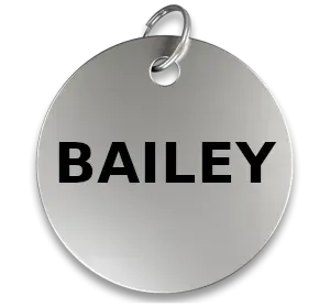 Cat Tag (Metal)